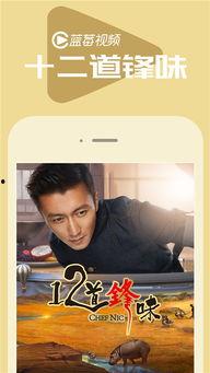 成人蓝莓视频在线观看,在线观看指南